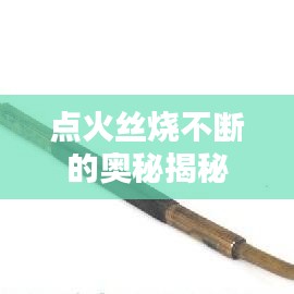 量入為出 第3頁