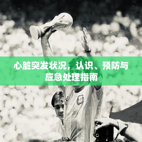 心臟突發(fā)狀況,認識、預(yù)防與應(yīng)急處理指南