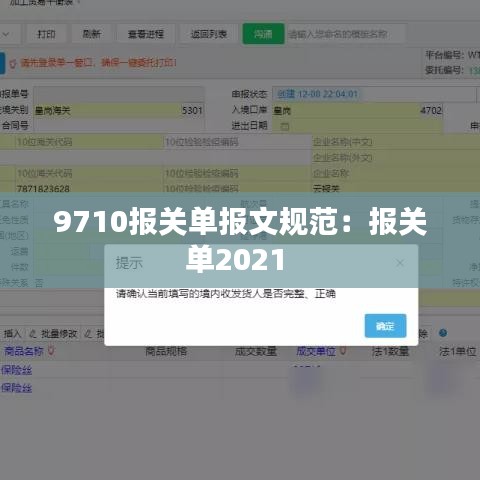 9710報(bào)關(guān)單報(bào)文規(guī)范:報(bào)關(guān)單2021