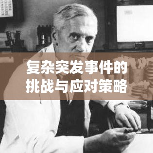 復雜突發事件的挑戰與應對策略,深度解析