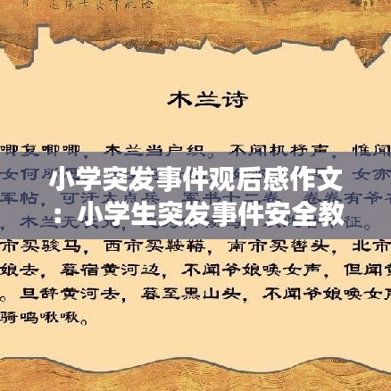 小學突發事件觀后感作文:小學生突發事件安全教育手抄報