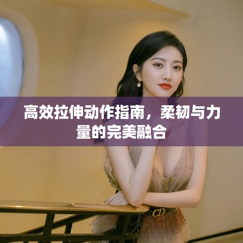 高效拉伸動(dòng)作指南,柔韌與力量的完美融合