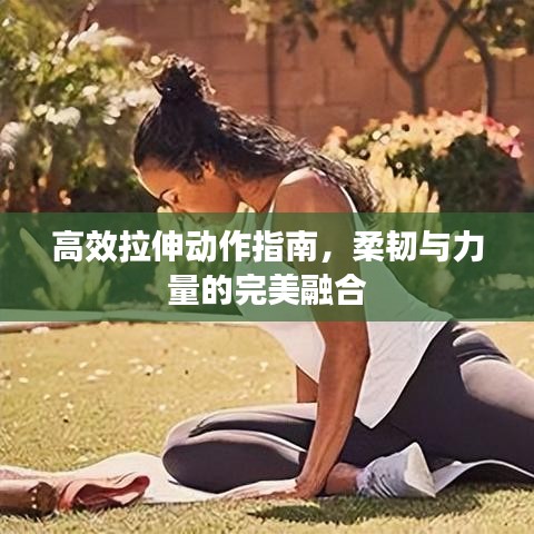 高效拉伸動(dòng)作指南,柔韌與力量的完美融合