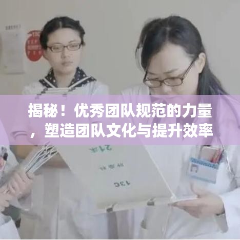 揭秘!優秀團隊規范的力量,塑造團隊文化與提升效率的雙重秘訣