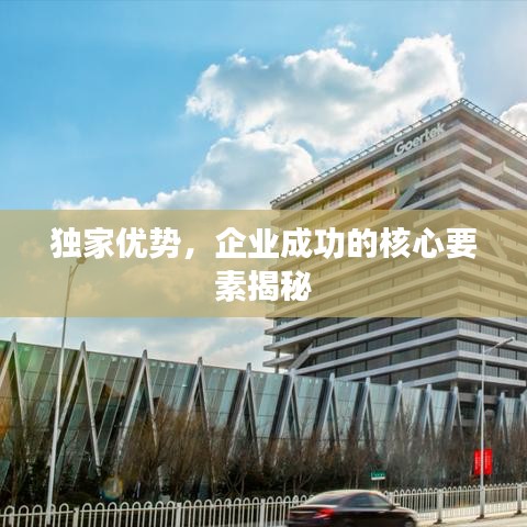 獨家優勢,企業成功的核心要素揭秘