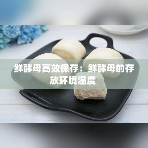 鮮酵母高效保存:鮮酵母的存放環(huán)境溫度