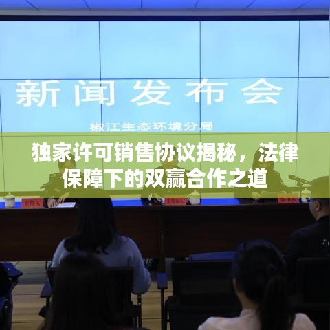 獨(dú)家許可銷售協(xié)議揭秘,法律保障下的雙贏合作之道