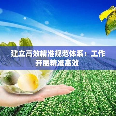 建立高效精準(zhǔn)規(guī)范體系:工作開(kāi)展精準(zhǔn)高效