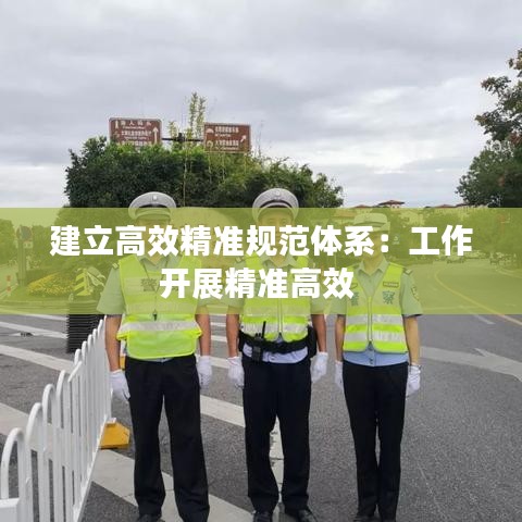 建立高效精準(zhǔn)規(guī)范體系:工作開(kāi)展精準(zhǔn)高效