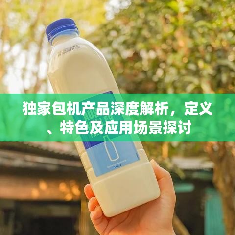 獨家包機產品深度解析,定義、特色及應用場景探討