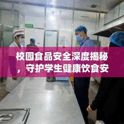 校園食品安全深度揭秘,守護學生健康飲食安全