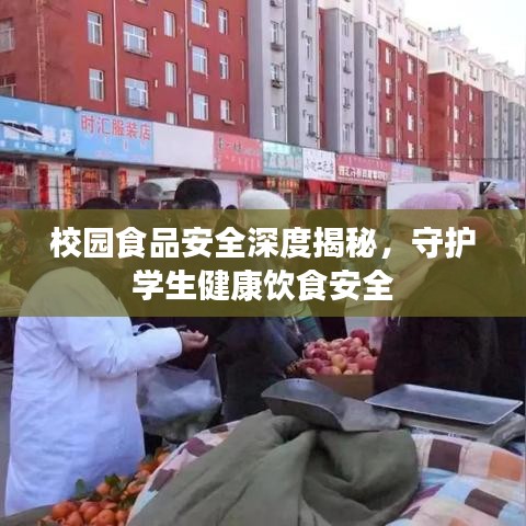 校園食品安全深度揭秘,守護學生健康飲食安全
