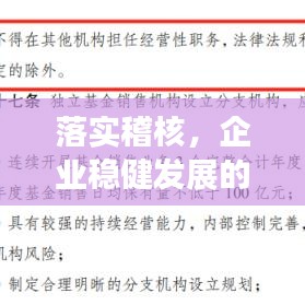 落實(shí)稽核,企業(yè)穩(wěn)健發(fā)展的核心保障之道