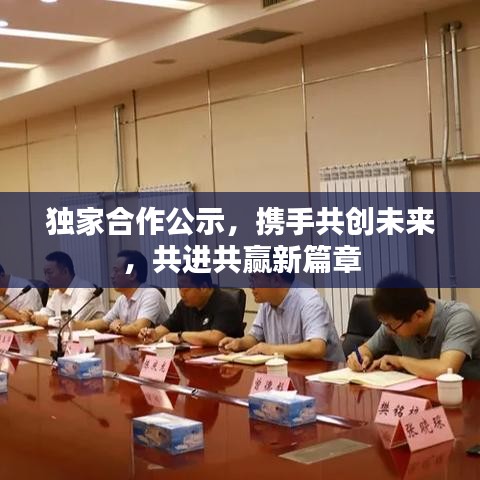 獨家合作公示,攜手共創未來,共進共贏新篇章
