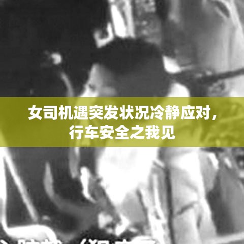 女司機遇突發(fā)狀況冷靜應對,行車安全之我見