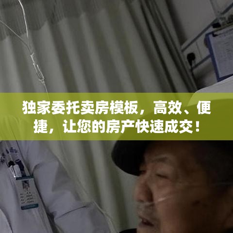 獨家委托賣房模板,高效、便捷,讓您的房產快速成交!
