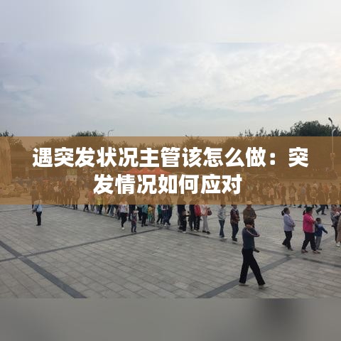 遇突發(fā)狀況主管該怎么做:突發(fā)情況如何應(yīng)對
