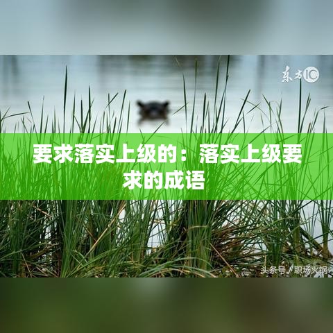 要求落實上級的:落實上級要求的成語