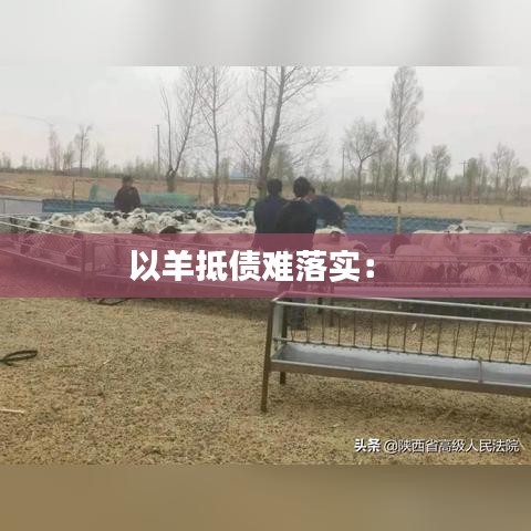 以羊抵債難落實: