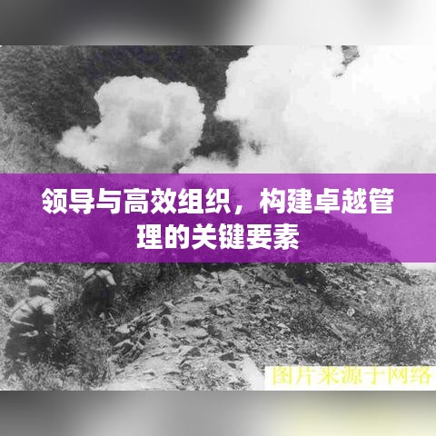 領導與高效組織，構建卓越管理的關鍵要素