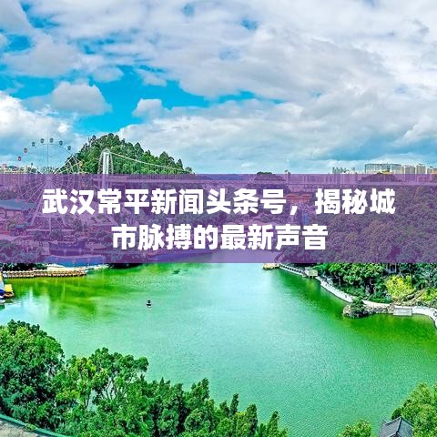 武漢常平新聞?lì)^條號(hào),揭秘城市脈搏的最新聲音
