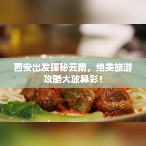 西安出發探秘云南,絕美旅游攻略大放異彩!