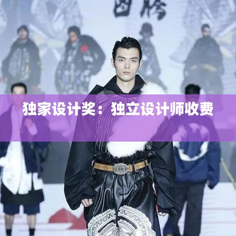 獨家設計獎:獨立設計師收費