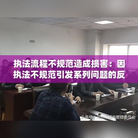 執(zhí)法流程不規(guī)范造成損害:因執(zhí)法不規(guī)范引發(fā)系列問(wèn)題的反思,心得體會(huì)