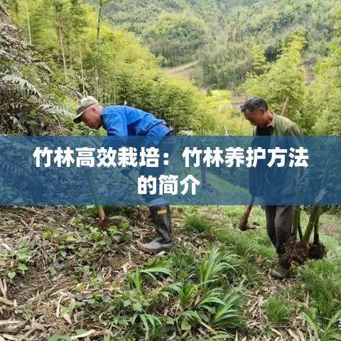 竹林高效栽培：竹林養護方法的簡介 