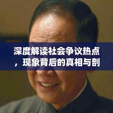 深度解讀社會爭議熱點,現象背后的真相與剖析