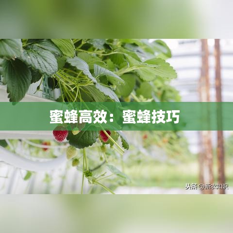 肝膽相照 第3頁