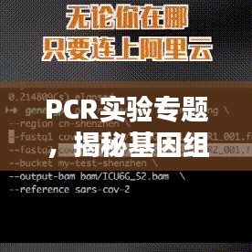 飛檐走壁 第3頁