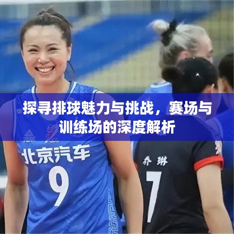 探尋排球魅力與挑戰,賽場與訓練場的深度解析