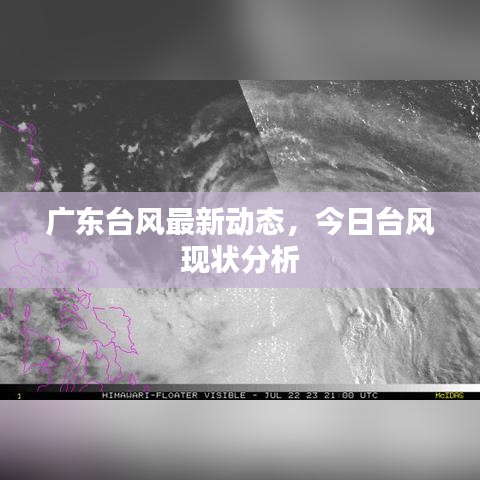 廣東臺風最新動態,今日臺風現狀分析