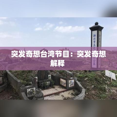 突發(fā)奇想臺(tái)灣節(jié)目:突發(fā)奇想解釋