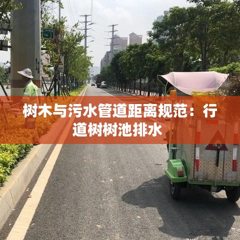 樹木與污水管道距離規(guī)范:行道樹樹池排水