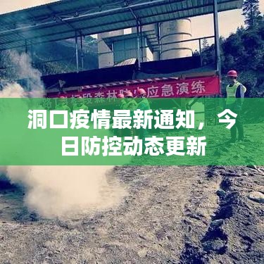 洞口疫情最新通知,今日防控動態(tài)更新