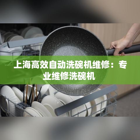 上海高效自動(dòng)洗碗機(jī)維修:專業(yè)維修洗碗機(jī)