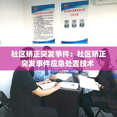 社區(qū)矯正突發(fā)事件:社區(qū)矯正突發(fā)事件應(yīng)急處置技術(shù)