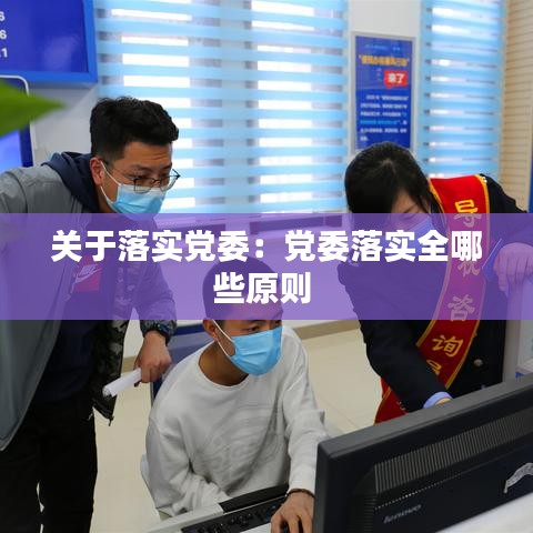 關(guān)于落實黨委:黨委落實全哪些原則