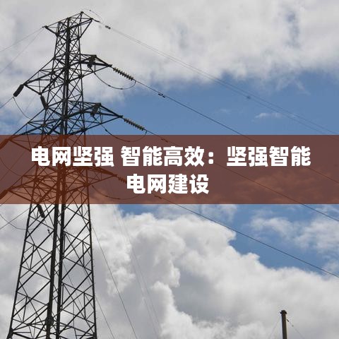 電網(wǎng)堅強 智能高效:堅強智能電網(wǎng)建設