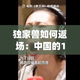 獨家獸如何返場:中國的110+獨家獸公司都是干嘛的