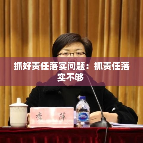 抓好責任落實問題:抓責任落實不夠