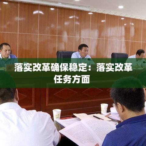 落實(shí)改革確保穩(wěn)定:落實(shí)改革任務(wù)方面