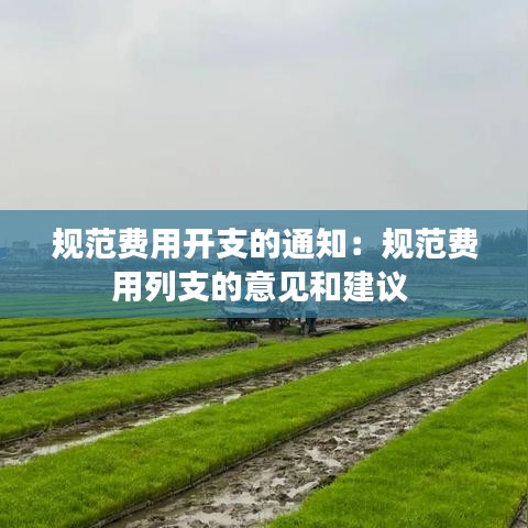 規(guī)范費(fèi)用開支的通知:規(guī)范費(fèi)用列支的意見和建議