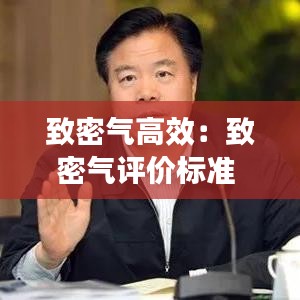 致密氣高效:致密氣評價標準