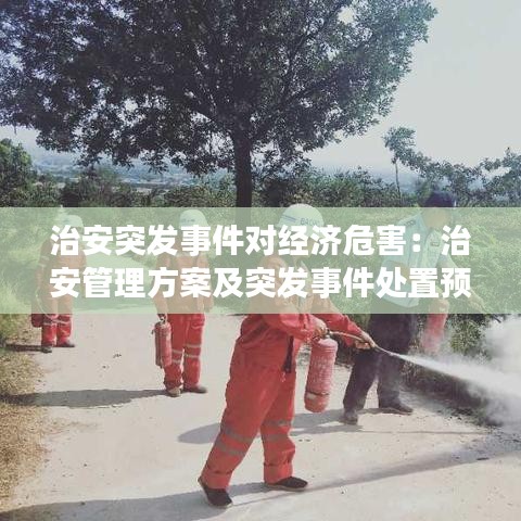 治安突發事件對經濟危害:治安管理方案及突發事件處置預案