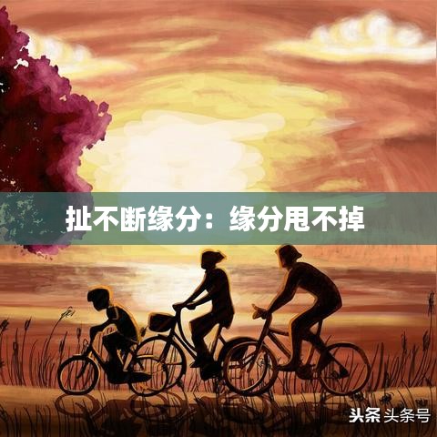 扯不斷緣分:緣分甩不掉
