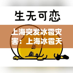 上海突發冰雹災害:上海冰雹天氣