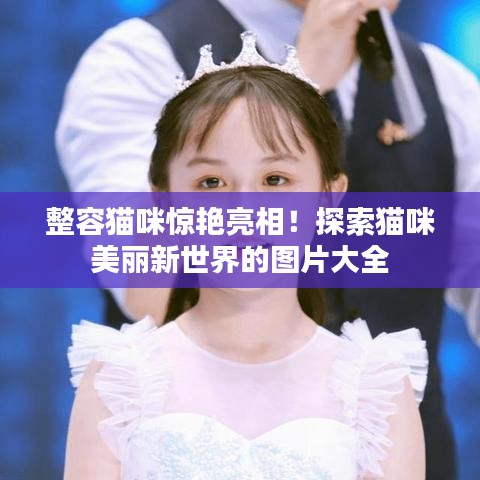 整容貓咪驚艷亮相!探索貓咪美麗新世界的圖片大全